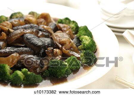 Close Up, Indoors View Large Photo Image Stock Image - Close Up, Indoors. Fotosearch