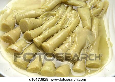 Close Up, Indoors View Large Photo Image Stock Photo - Close Up, Indoors. Fotosearch