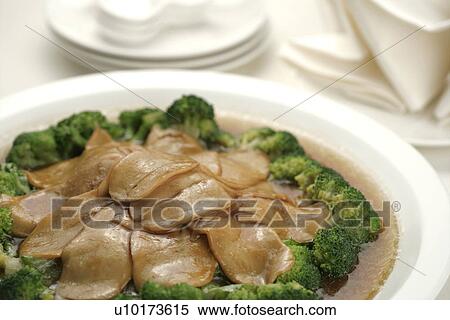 Stock Photography - Close Up, Indoors. Fotosearch