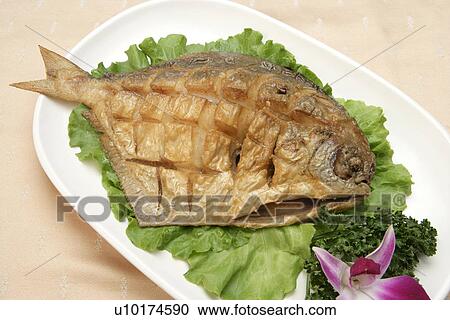 Stock Image - Close Up, Indoors. Fotosearch