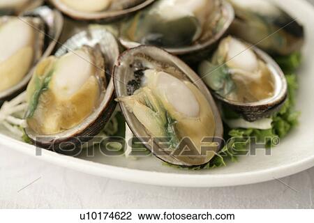 Stock Image - Close Up, Indoors. Fotosearch
