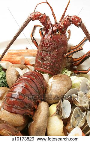Stock Photo - Close Up, Indoors. Fotosearch