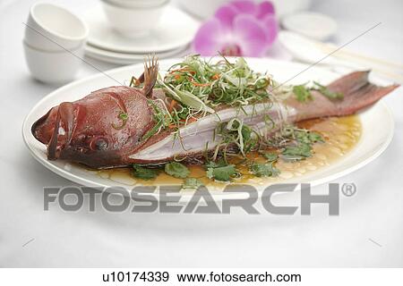 Close Up, Indoors View Large Photo Image Stock Photo - Close Up, Indoors. Fotosearch