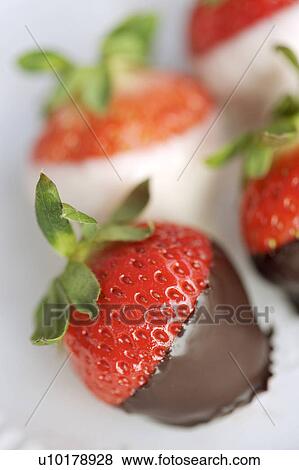 Stock Photo - Close-Up, Four Object, Indoors. Fotosearch