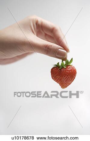 Close-Up, Indoors, Day View Large Photo Image Stock Photo - Close-Up, Indoors, Day. Fotosearch