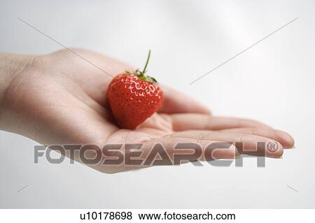 Stock Photo - Close-Up, Indoors, Day. Fotosearch