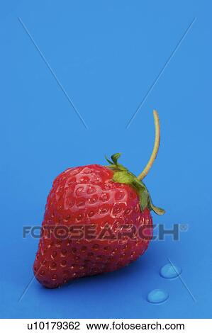 Stock Image - Close-Up, Indoors. Fotosearch