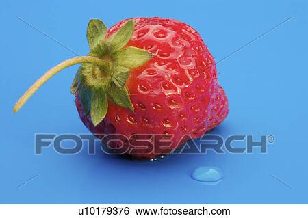 Stock Photograph - Close-Up, Indoors. Fotosearch