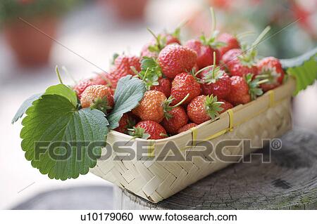 Close-Up, Medium Group of Objects, Outdoors View Large Photo Image Stock Image - Close-Up, Medium Group of Objects, Outdoors. Fotosearch