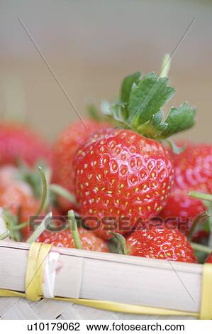 Stock Image - Close-Up, Medium Group of Objects, Outdoors. Fotosearch