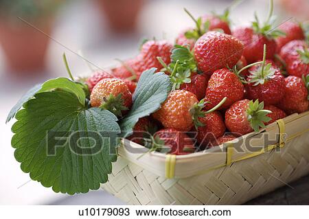 Close-Up, Medium Group of Objects, Outdoors View Large Photo Image Stock Image - Close-Up, Medium Group of Objects, Outdoors. Fotosearch