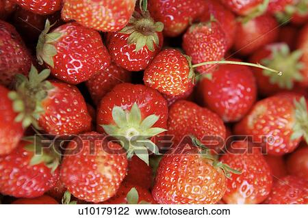 Close-Up, Medium Group of Objects, Outdoors View Large Photo Image Stock Image - Close-Up, Medium Group of Objects, Outdoors. Fotosearch
