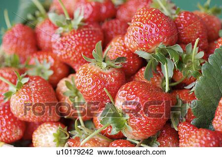 Close-Up, Medium Group of Objects, Outdoors View Large Photo Image Stock Image - Close-Up, Medium Group of Objects, Outdoors. Fotosearch