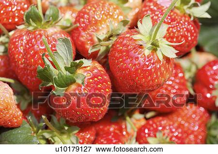 Close-Up, Medium Group of Objects, Outdoors View Large Photo Image Stock Photo - Close-Up, Medium Group of Objects, Outdoors. Fotosearch