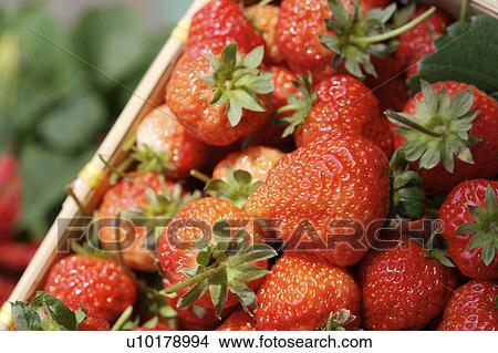 Picture - Close-Up, Outdoors, Day. Fotosearch