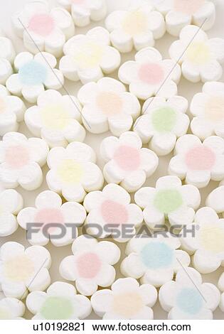 Stock Image - Indoors, Day. Fotosearch