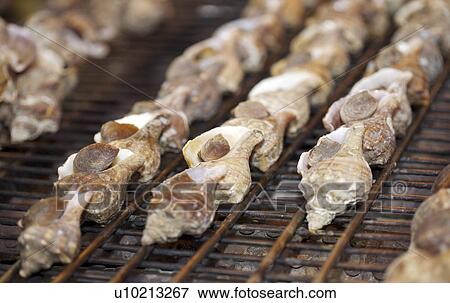 Day, digital View Large Photo Image Stock Photo - Day, digital. Fotosearch