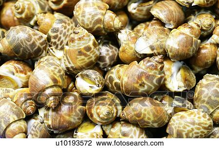 Stock Image - Indoors, Day. Fotosearch