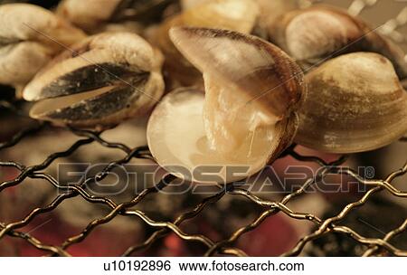 Indoors, Day View Large Photo Image Stock Photograph - Indoors, Day. Fotosearch