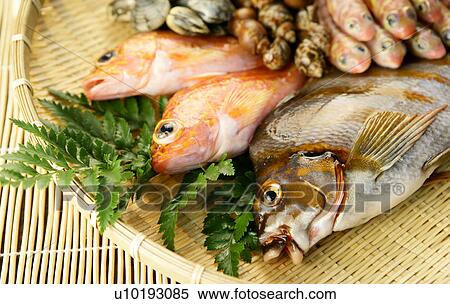 Stock Photography - Indoors, Day. Fotosearch