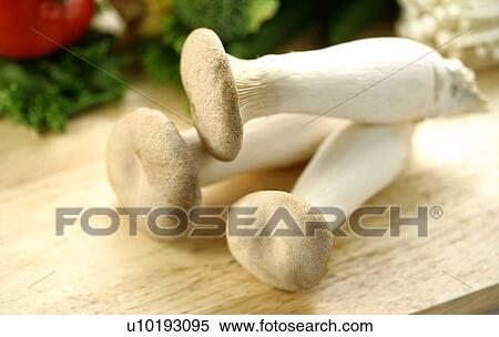 Stock Photography - Indoors, Day. Fotosearch