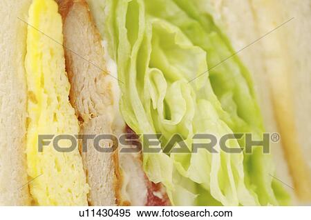 Stock Photography - Close-up of sandwich . Fotosearch