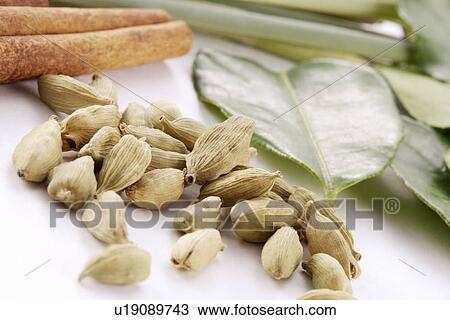Cinnamon, bean, leaves View Large Photo Image Stock Image - Cinnamon, bean, leaves. Fotosearch