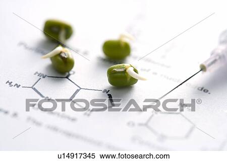 Stock Photography - Bean and syringe on paper. Fotosearch