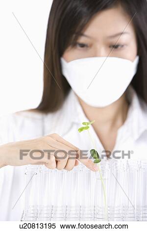 Stock Photography - Female scientist examining seedling, portrait. Fotosearch