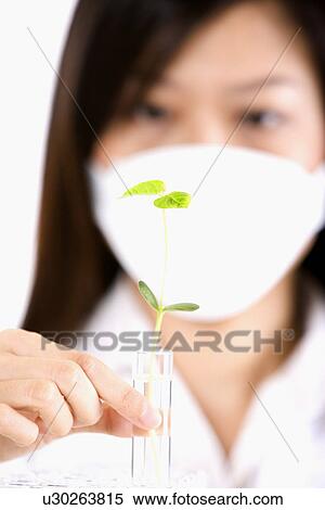 Female scientist holding test tube with seedling View Large Photo Image Stock Photography - Female scientist holding test tube with seedling. Fotosearch