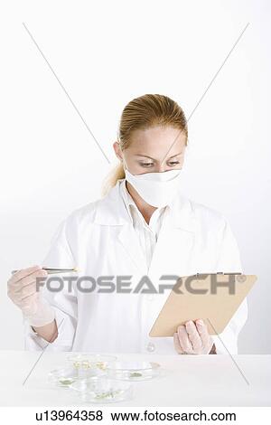 Stock Photo - Female scientist working with seedling. Fotosearch