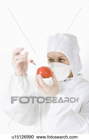 Stock Image - Female technician in protective suit injecting tomato with syringe. Fotosearch