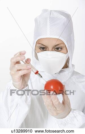 Stock Image - Female technician injecting tomato with syringe. Fotosearch