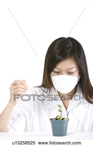 Female technician working with potted plant View Large Photo Image Stock Photography - Female technician working with potted plant . Fotosearch