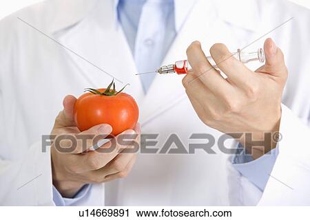 One man about to injecting tomato, mid section View Large Photo Image Stock Image - One man about to injecting tomato, mid section. Fotosearch