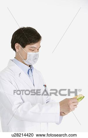 One man examining seedling, portrait View Large Photo Image Stock Image - One man examining seedling, portrait. Fotosearch