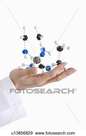 One man holding molecular structure, focus on hand, close up View Large Photo Image Stock Photo - One man holding molecular structure, focus on hand, close up. Fotosearch