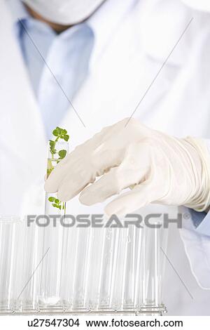 One man holding test tube, low section View Large Photo Image Picture - One man holding test tube, low section. Fotosearch
