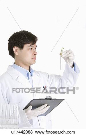 One Man Holding up Plant Seedling Growing in a Test Tube View Large Photo Image Stock Photo - One Man Holding up Plant Seedling Growing in a Test Tube. Fotosearch