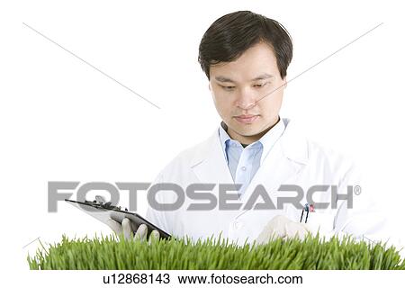 One man in lab coat looking at grass View Large Photo Image Stock Image - One man in lab coat looking at grass. Fotosearch