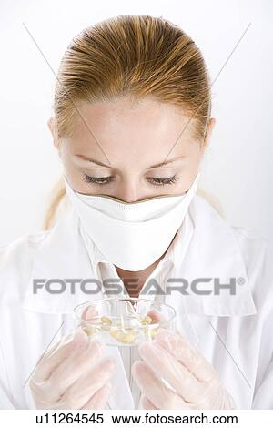 One woman holding petri dish with seedling View Large Photo Image Stock Photography - One woman holding petri dish with seedling. Fotosearch