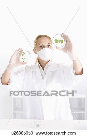 Stock Image - One woman in lab coat examining seedling in petri dish . Fotosearch