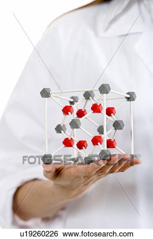 One woman in lab coat holding molecular structure, mid section View Large Photo Image Stock Photograph - One woman in lab coat holding molecular structure, mid section. Fotosearch