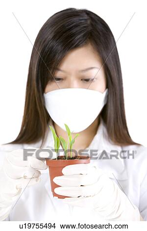 One woman in lab coat holding potted plant, close up View Large Photo Image Picture - One woman in lab coat holding potted plant, close up. Fotosearch