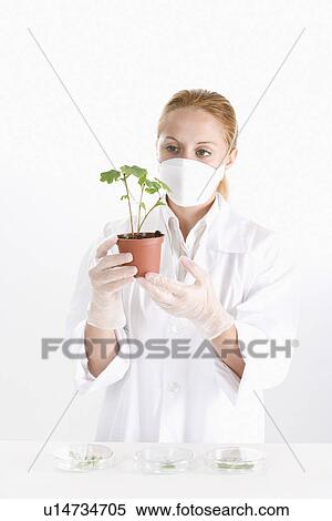 One woman in lab coat holding potted plant View Large Photo Image Stock Photography - One woman in lab coat holding potted plant. Fotosearch