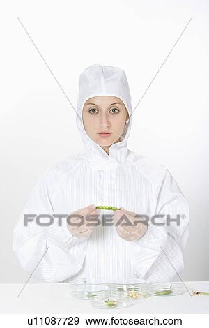 One woman wearing protective suit holding pea View Large Photo Image Stock Photo - One woman wearing protective suit holding pea. Fotosearch