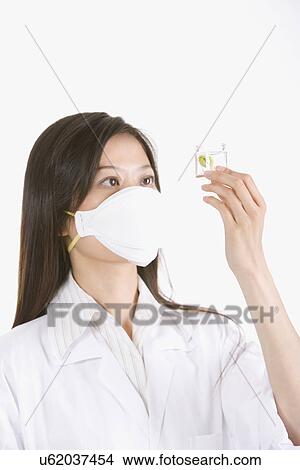 Woman examining seedling, portrait View Large Photo Image Picture - Woman examining seedling, portrait. Fotosearch
