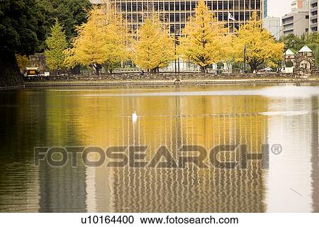 Nation, Travel Destinations, Japan, Tokyo View Large Photo Image Stock Image - Nation, Travel Destinations, Japan, Tokyo. Fotosearch