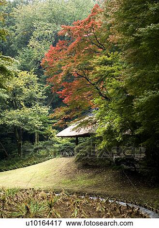 Nation, Travel Destinations, Japan, Tokyo View Large Photo Image Stock Photo - Nation, Travel Destinations, Japan, Tokyo. Fotosearch