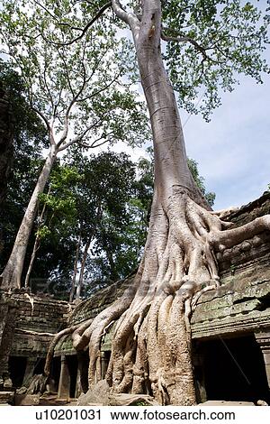 Outdoors View Large Photo Image Stock Image - Outdoors. Fotosearch